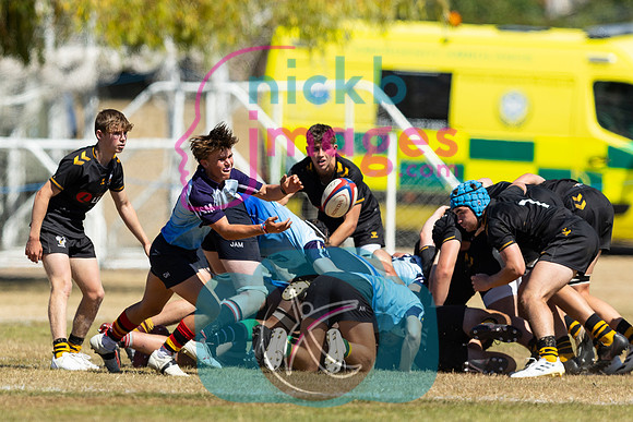 Wasps_Academy_U17's_Malvern_110822-077