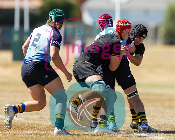 Wasps_Academy_U17's_Malvern_110822-054