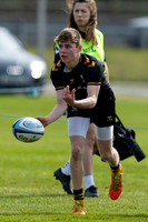 Wasps_U16s_v_Sale_Sharks_U16's_170422_013
