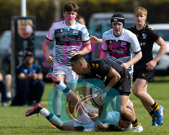 Wasps_U16s_v_Sale_Sharks_U16's_170422_023