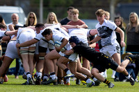 Wasps_U16s_v_Sale_Sharks_U16's_170422_006
