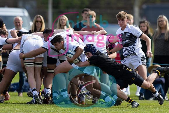 Wasps_U16s_v_Sale_Sharks_U16's_170422_006