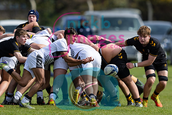 Wasps_U16s_v_Sale_Sharks_U16's_170422_024