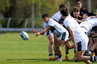 Wasps_U16s_v_Sale_Sharks_U16's_170422_019
