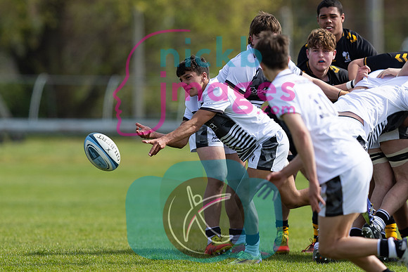 Wasps_U16s_v_Sale_Sharks_U16's_170422_019