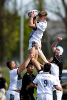 Wasps_U16s_v_Sale_Sharks_U16's_170422_020