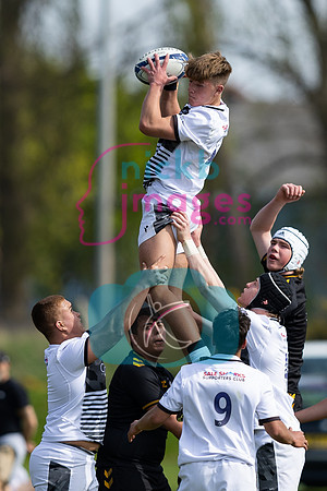 Wasps_U16s_v_Sale_Sharks_U16's_170422_020