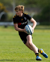 Wasps_U16s_v_Sale_Sharks_U16's_170422_009