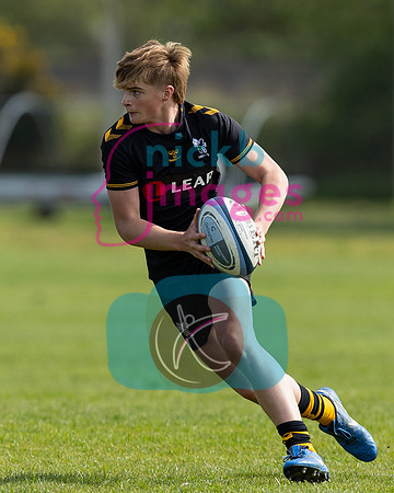 Wasps_U16s_v_Sale_Sharks_U16's_170422_009