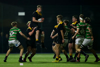 Midlands_Central_v_Tigers_130223-7