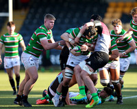Prem_Rugby_Academy_League_Leicester_Tigers_v_Harlequins_018