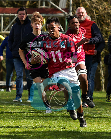 RFU_U16_Festival__Tigers_020422_009