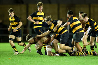 Sedbergh_1st_XV-v_Wellington_231122_013