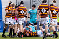 Worcester_Warriors_U17s_v_Leicester_Tigers_060222_005