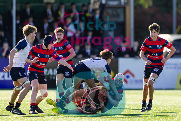 U15-Schools-Cup-Whitgift-v-NSB-180326-97