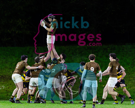 Sedbergh-1XV-v-Wellington-1XV-201124-7