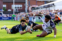 Bedford-Blues-v-Coventry-Rugby-CHAMPSF-220526-7