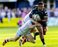Bedford-Blues-v-Coventry-Rugby-CHAMPSF-220526-6