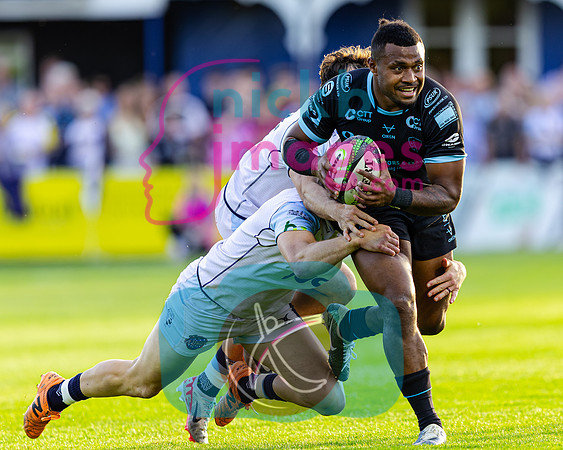 Bedford-Blues-v-Coventry-Rugby-CHAMPSF-220526-6