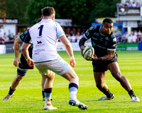 Bedford-Blues-v-Coventry-Rugby-CHAMPSF-220526-9