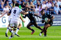 Bedford-Blues-v-Coventry-Rugby-CHAMPSF-220526-16
