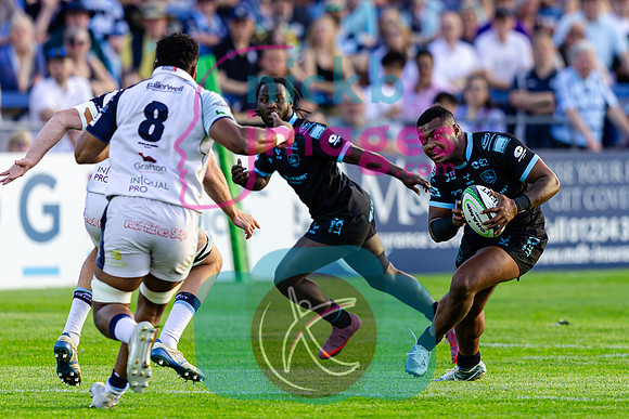 Bedford-Blues-v-Coventry-Rugby-CHAMPSF-220526-16