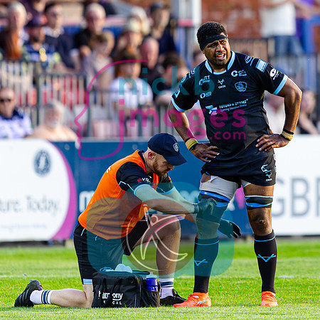 Bedford-Blues-v-Coventry-Rugby-CHAMPSF-220526-23