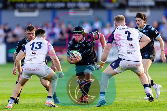 Bedford-Blues-v-Coventry-Rugby-CHAMPSF-220526-25