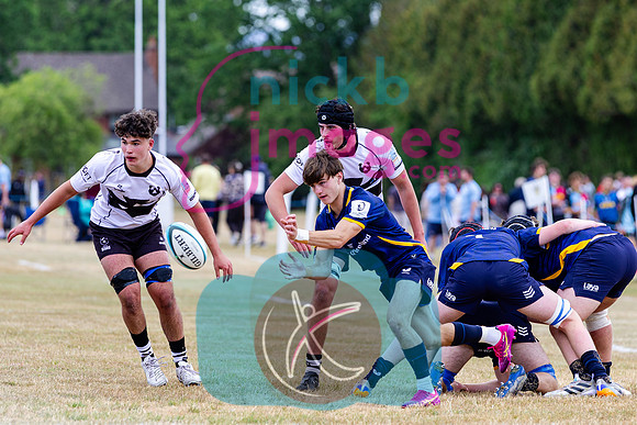 RFU-U17-Festival-Malvern-College-060826-46