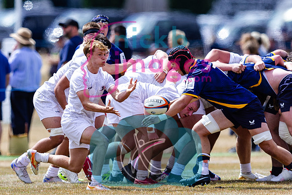RFU-U17-Festival-Malvern-College-060826-124