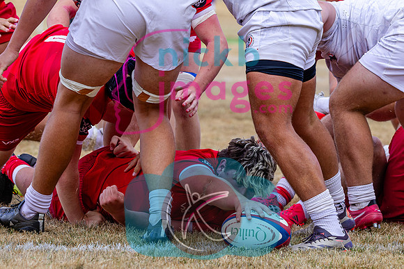 RFU-U17-Festival-Malvern-College-060826-210