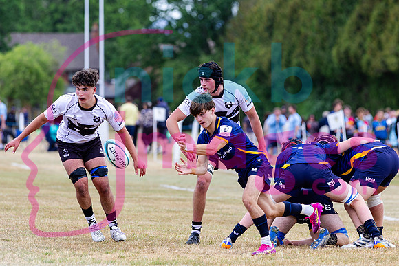 RFU-U17-Festival-Malvern-College-060826-46