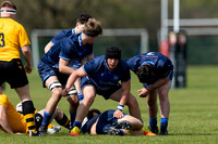 Wasps_U17s_v_Sale_Sharks_U17's_170422_019