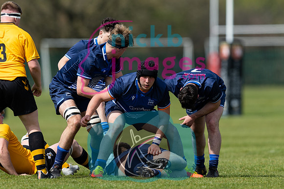 Wasps_U17s_v_Sale_Sharks_U17's_170422_019