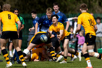 Wasps_U17s_v_Sale_Sharks_U17's_170422_013