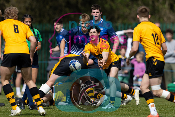 Wasps_U17s_v_Sale_Sharks_U17's_170422_013
