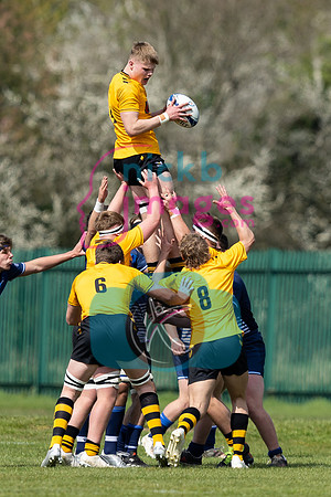 Wasps_U17s_v_Sale_Sharks_U17's_170422_010