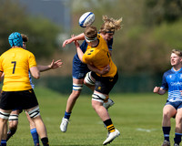 Wasps_U17s_v_Sale_Sharks_U17's_170422_007