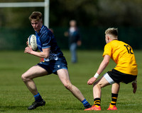 Wasps_U17s_v_Sale_Sharks_U17's_170422_017