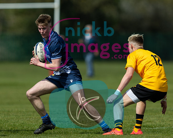 Wasps_U17s_v_Sale_Sharks_U17's_170422_017
