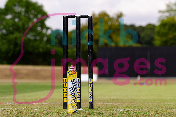 Vitality-Womens-Clubs-T20-Final-Dorridge-v-St-Cross-Symondians-160826-20