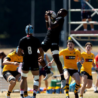 Wasps_Academy_U18's_Malvern_100822-001