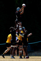 Wasps_Academy_U18's_Malvern_100822-008