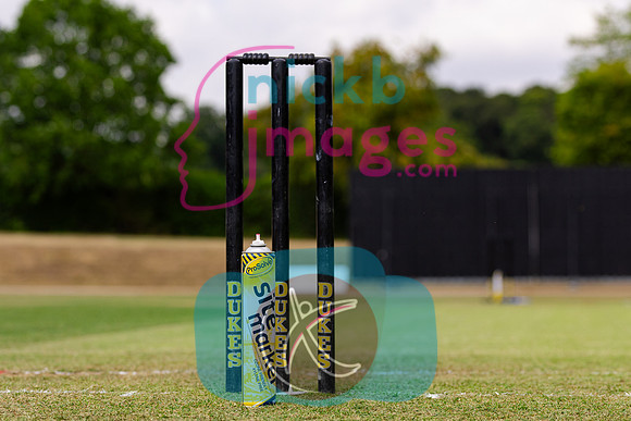 Vitality-Womens-Clubs-T20-Final-Dorridge-v-St-Cross-Symondians-160826-20