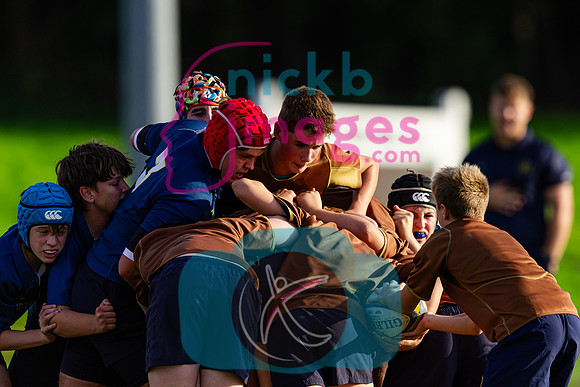 U14A-Sedbergh-v-Ipswich-240926-41