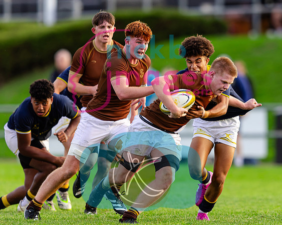 1st-XV-Sedbergh-v-Ipswich-240926-111