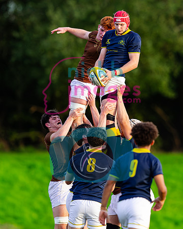 1st-XV-Sedbergh-v-Ipswich-240926-87