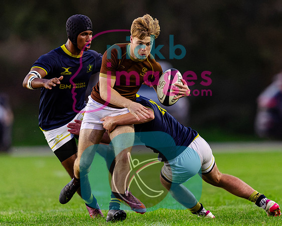 1st-XV-Sedbergh-v-Ipswich-240926-162