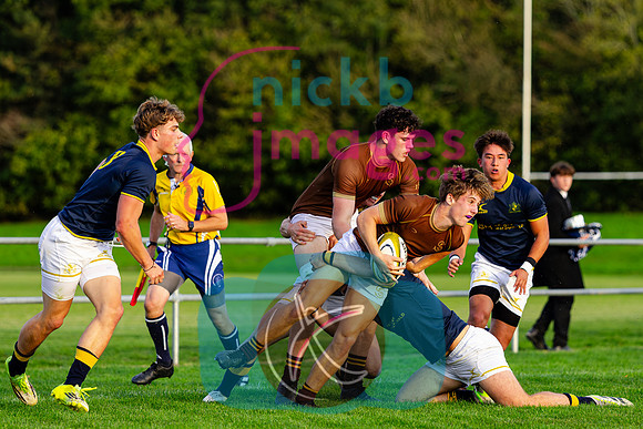 1st-XV-Sedbergh-v-Ipswich-240926-72