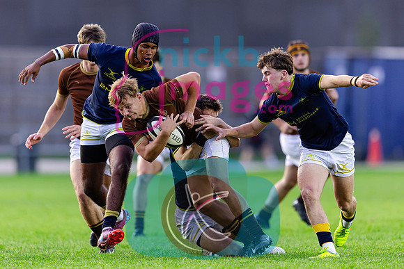 1st-XV-Sedbergh-v-Ipswich-240926-129